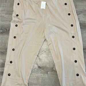 Appleseed's Tan Pants with Button Detail 3x womens